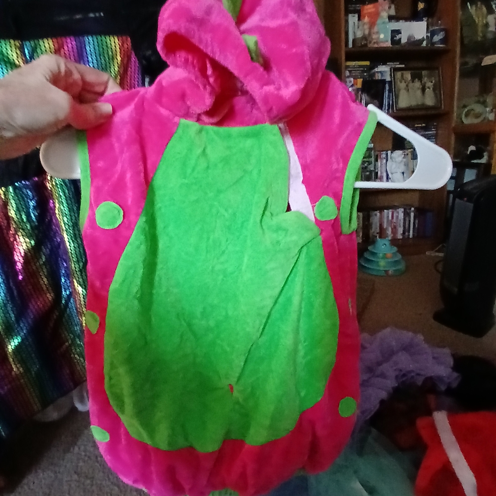 Unlisted Pink and Green Dinosaur Costume for Toddlers
